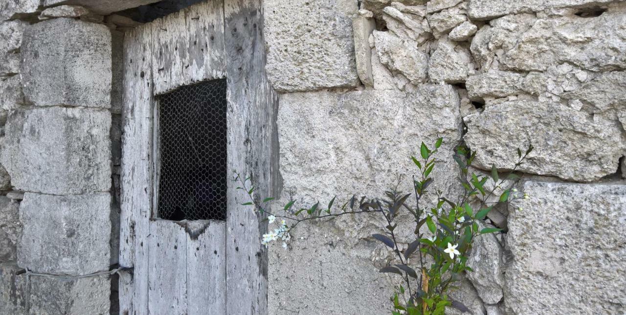 Grange De Lavande Roquebrune Ngoại thất bức ảnh